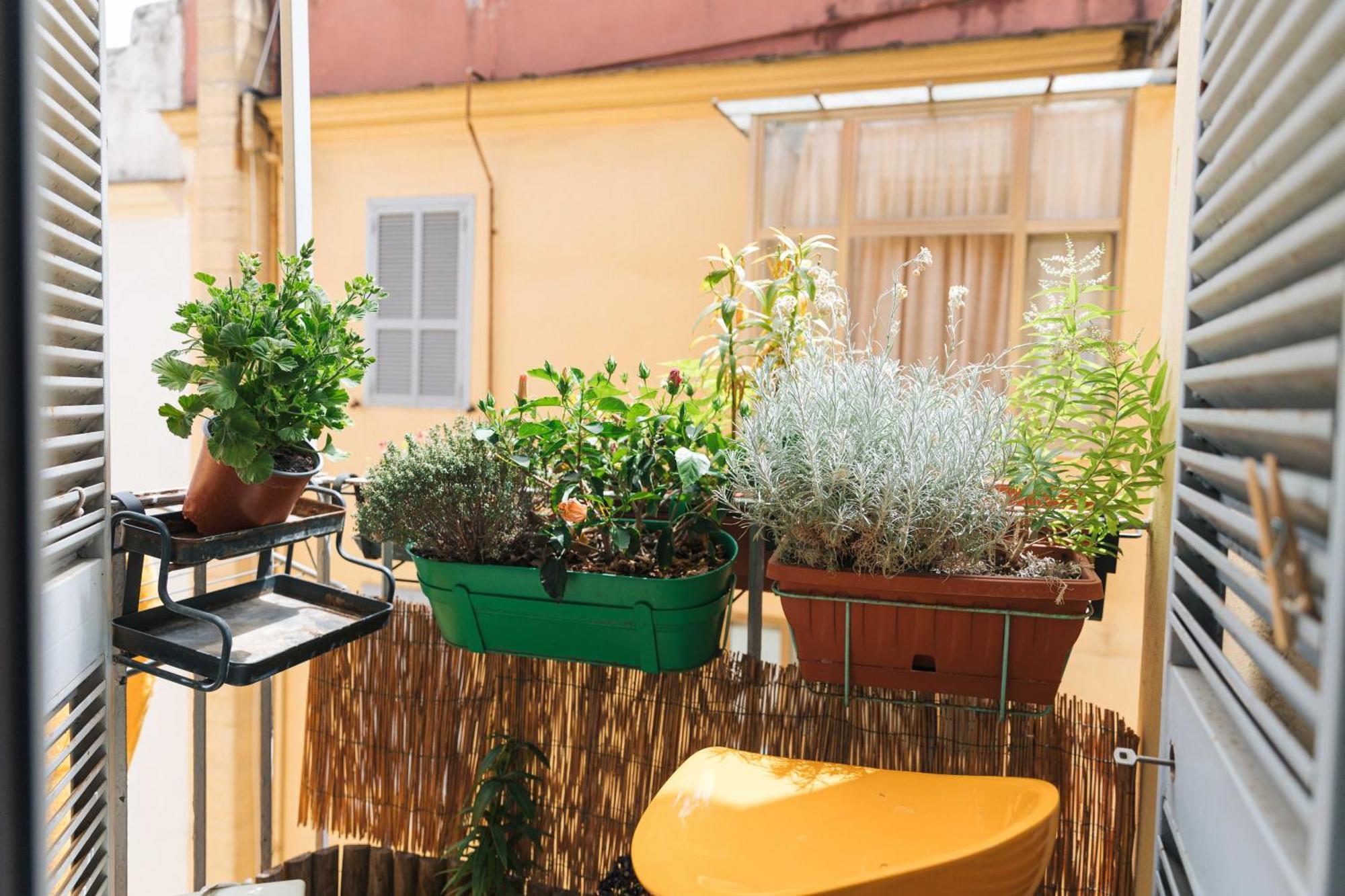 Lovely Sanctuary Apartment Rome